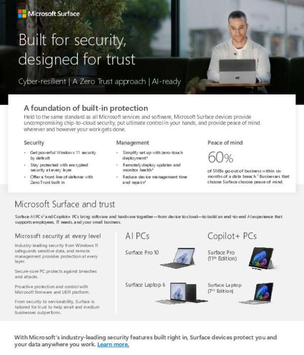 Surface for SMB DS Version Security Flyer thumb