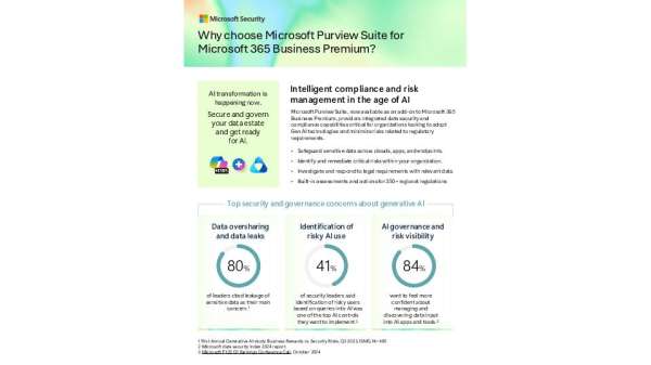 sb Purview one pager for BP add ons1 thumb