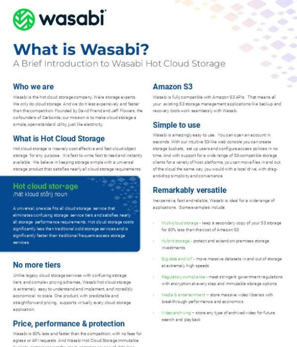 What is Wasabi 2 sb What is Wasabi thumb 1